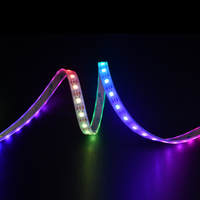 Bande LED RVBx IP20, Nouvelle Arrivée, Bande LED Numérique RVBw 24V, Garantie 5 Ans, Bleu Rouge, 5m, Bande LED Pixel RVBx