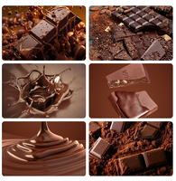 Broyeur Melanger au chocolat de qualité supérieure raffinant la rectifieuse de conchage pour la fabrication de chocolat