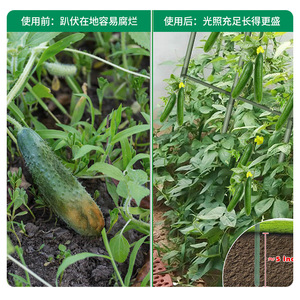 Treillis en fer vert pour plantes, support arqué pour légumes et plantes grimpantes, piquet de jardin facile à assembler - Product Image 4