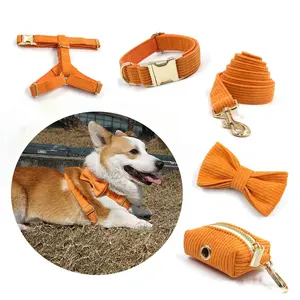 2024 Nieuwe Producten Zomer Hond Bowtie Zonneschijn Oranje Huisdier Riemen En Kraag Set Set Gewatteerde Bandjes Hondenvest Harnas Voor Honden