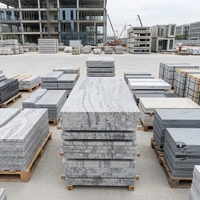 TY Shandong Granit Gris Blanc Naturel Écologique Moderne, Petite Dalle Brossée, Solution Complète pour Plans de Travail de Cuisine de Villa et de Parc