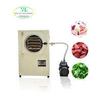 Chinese fabrikant levert 1,3 kW roestvrijstalen commerciële voedseldroogmachine voor groente- en fruitfabrieken, inclusief after-sales ondersteuning.
