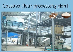 Usine de transformation de <span class=keywords><strong>farine</strong></span> de manioc de haute qualité avec une capacité de 5 TPD, ligne de production de poudre de <span class=keywords><strong>tapioca</strong></span>, machine à <span class=keywords><strong>farine</strong></span> de manioc - Product Image 6