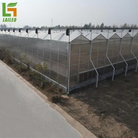 Tomaat Groen Huis Tunnel Invernaderos Polycarbonaat Multi-Span Agrarische Commerciële Kas Te Koop
