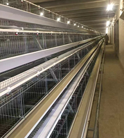 Cage à poules pondeuses de type A au meilleur prix avec système d'alimentation et de nettoyage automatique du fumier – Équipement pour ferme avicole
