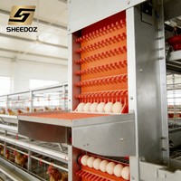 Système d'équipement avicole de type H pour l'élevage en batterie de poulets, avec collecte des œufs, élimination du fumier, alimentation et abreuvement, cage automatique pour poules pondeuses