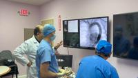 Simulador de Entrenamiento para Intervención Vascular Haptica, Sin Radiación, para Neurocirugía, Cardiología y Cirugía Periférica, para Enseñanza de Residentes