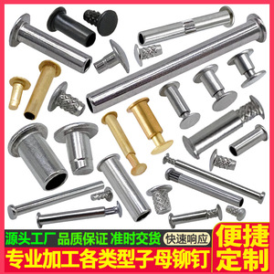 Tianyang Hardware Threaded Rivets Stainless Steel Snap Rivet Self Tapping Construction Industry Grade A Bright Uncoated - Product Image 5