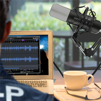Ensemble de microphones à condensateur cardioïdes vocaux, carte son, prise XLR + 3,5 mm, câble de 2,5 m, suppression du bruit, SNR 70 dB, SPL max 135 dB, 20 Hz-20 kHz