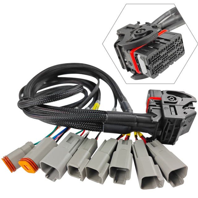 Custom Automotive Wiring Harness OEM Car Cable Assembly DT Connector Auto Wire Loom for Vehicle Electrical Systems