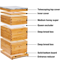 BAQIAN apiculture équipement usine approvisionnement cire enduit ruche 3 couches sapin en bois apiculture ruche abeille