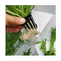 Kit de système de serre aéronautique haute pression 80 plantes tour Led lumières Diy plateau de croissance pompe de brumisation