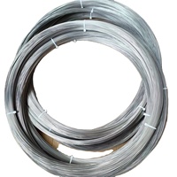 Fil de tungstène pur personnalisé en usine 0,3 mm~2,00 mm par kg Excellent prix Produit