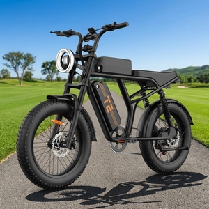 Vélo électrique tout-terrain hybride 500W 48V à pneus larges haute performance pour adultes, pour la conduite sur sentiers et hors route, pneus de 20 pouces - Product Image 4