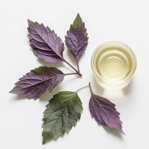 Huile de graines de périlla avec <span class=keywords><strong>acide</strong></span> <span class=keywords><strong>linoléique</strong></span> et acides gras oméga-<span class=keywords><strong>3</strong></span> pour la cuisine et les vinaigrettes - Product Image 5