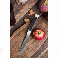Couteau d'office 3,5 pouces, couteau de chef professionnel classique en acier Damas VG-10, manche en bois d'ébène avec résine