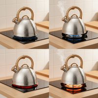 Bouilloire à thé sifflante de 3 L en acier inoxydable martelé, couleur personnalisable, pour tous les types de cuisinières - Vente en gros usine