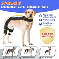 Équipement de protection pour animaux de compagnie, ceinture auxiliaire pour chien pour blessure de la patte avant, déchirure du ligament articulaire de la patte, rééducation du chien