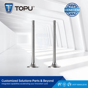 Válvula de motor de alto rendimiento personalizada 058109611E para VW DOHC 20V 4C 1.8L, <span class=keywords><strong>precio</strong></span> al por mayor, reemplazo de posventa - Product Image 3