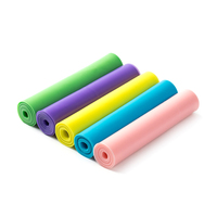 Bandas de Resistencia para Hacer Ejercicio, Bandas de Fisioterapia, Bandas Elásticas y de Ejercicio