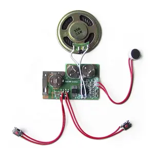 30S Re-Recordable Voice Module Met Mini Microfoon