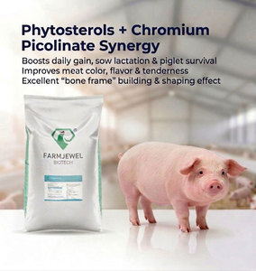 Aditivo Funcional Premium para Alimento de Cerdos, Potenciador de la Salud Intestinal, Fitosteroles, Picolinato de Cromo, OEM, Promotor del Crecimiento para Granjas Premium - Product Image 2