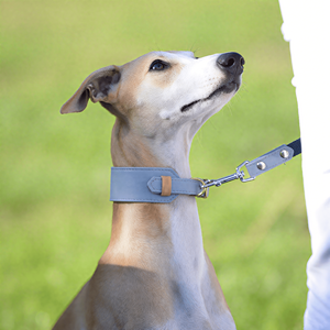 Cachorro/collares de perro Whippet de cuero genuino grande <span class=keywords><strong>2</strong></span> / <span class=keywords><strong>3</strong></span> pulgadas de ancho al por mayor Collar de perro de cuero grueso con hardware y logotipo personalizados - Product Image 6