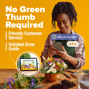 63,200 + fleurs sauvages <span class=keywords><strong>vivaces</strong></span> en vrac Semences 19 variétés de papillons Semences de jardin attirant les oiseaux abeilles pour pots de fleurs et jardinières - Product Image 5