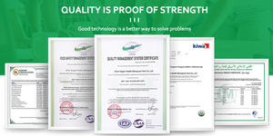 Suplemen Makanan Ekstrak Tumbuhan Alami CAS 153-18-4 Kapsul Rutin - Product Image 6