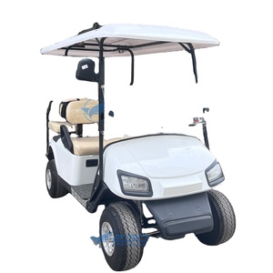 Carrito de Golf de Gasolina de 2+2 Plazas, Tipo Back to Back, Precio de Fábrica - Product Image 1