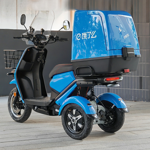 Scooter Eléctrico de 72v 50ah con Motor de Litio, Triciclo Motorizado de 3 Ruedas para Adultos - Product Image 1