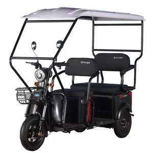 Tuk Tuk Electric Tricycle for Passenger Electric Pedicab for Taxi Lead Acid Battery with Roof High Quality Made in China