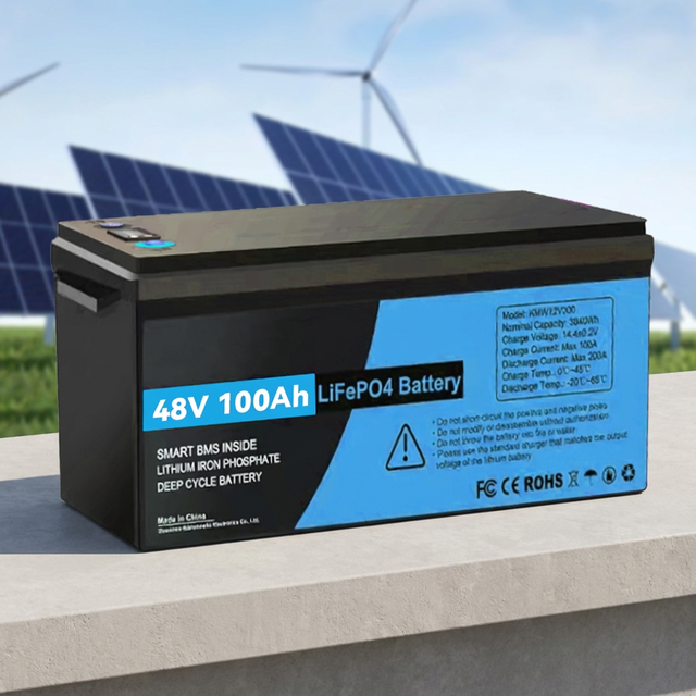 48V 100Ah LiFePO4 6000-Cycle Lithium Battery Pack 12V/24V/36V/51.2V 200Ah/280Ah/300Ah for RV Boat Home Solar Energy Storage