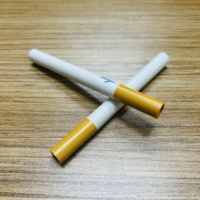 Moule d'injection plastique pour fumée de cigarette, moulage par injection, découpe, conception de moule personnalisée, polissage miroir de haute précision, base de moule LKM
