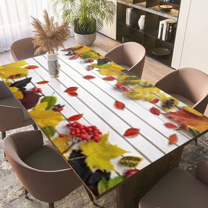 Modernes Design Rutsch feste Lacer PP Kunststoff Rechteck Tischdecke Wasserdichte Party Tischdecke für Matten & Pads - Product Image 6