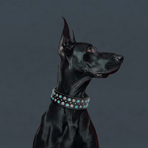 Collar de Cuero Genuino de Lujo para Perros Grandes, 2 Pulgadas de Ancho, con Diamantes y Púas, para Perros Medianos y Grandes, Ideal para <span class=keywords><strong>Pitbulls</strong></span> - Product Image 4