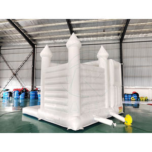 Structure gonflable d'intérieur pour enfants, avec toboggan et piscine, idéale pour les fêtes de mariage et les événements. - Product Image 6