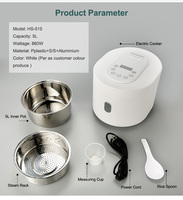 Appareils ménagers Petits appareils de cuisine OEM Carré intelligent antiadhésif Morden Cuiseur à riz de haute qualité Palette à riz électrique en plastique