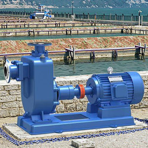 סדרת zw משאבת חשמל בלחץ גבוה קטן שפכים צנטריפוגלי ביוב עצמית עם 0.5hp dc מנוע גבוה 2hp/5hp - Product Image 6