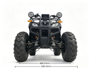 Tao Motor 2026 Nouveau VTT 200cc 2x4 Tout-Terrain Moto Quad 4 Roues UTV Moto de Ferme Quad Moto à Vendre - Product Image 2