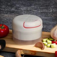 Hachoir à légumes manuel Broyeur à ail tiré à la main Nouveau Broyeur en plastique PP à bas prix pour couper la viande de fruits Métal transfrontalier