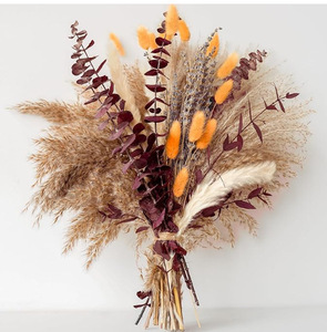 Bouquet de fleurs séchées très prisé : Herbe de la Pampa, Herbe de la Queue de Lapin, Eucalyptus, Petite Herbe de la Pampa – Idéal pour la décoration intérieure et les mariages - Product Image 1