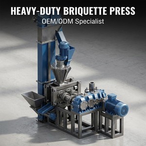Macchina Briquetatrice OEM Personalizzata ad Alta Pressione per Carbone e Metallo, con Motore AC, Modello Personalizzato, Alta Efficienza Operativa - Product Image 1