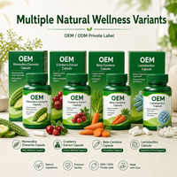 Capsules de supplément d'extrait de melon amer OEM ODM, formule personnalisée sous marque privée, soutien nutritionnel quotidien, fabricant sous contrat