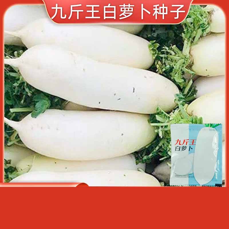 3# Radis blanc de neuf livres