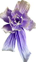 Fleurs géantes en papier, fleurs artificielles pour la décoration de mariage, la décoration de fête, la décoration de la maison et les cadeaux