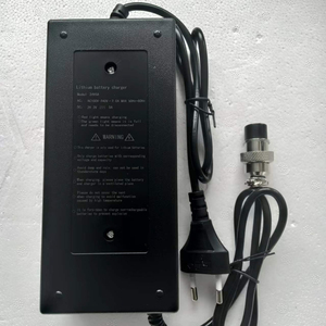 Caricabatterie LiFePO4 8S 29.2V 5A Dispositivo di Ricarica AC 100-240V a DC 29.2V 5A Alimentatore per Batterie - Product Image 3