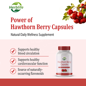 Capsules d'extrait de baies d'aubépine en marque blanche OEM pour une circulation sanguine saine et un bien-être cardiovasculaire – Complément alimentaire - Product Image 3