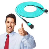 Cavalier fibre optique FTTH à faible perte MPO(f) à MPO(f) 12f LSZH MPO câble tronc câble OM3 cordon de raccordement fibre optique mpos glassfaser