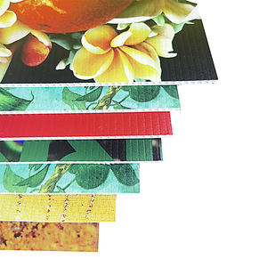 Venta al por mayor personalizado 4MM 18x24 HOJA DE coroplast en blanco bienes raíces casa abierta campaña Bandit signos - Product Image 3